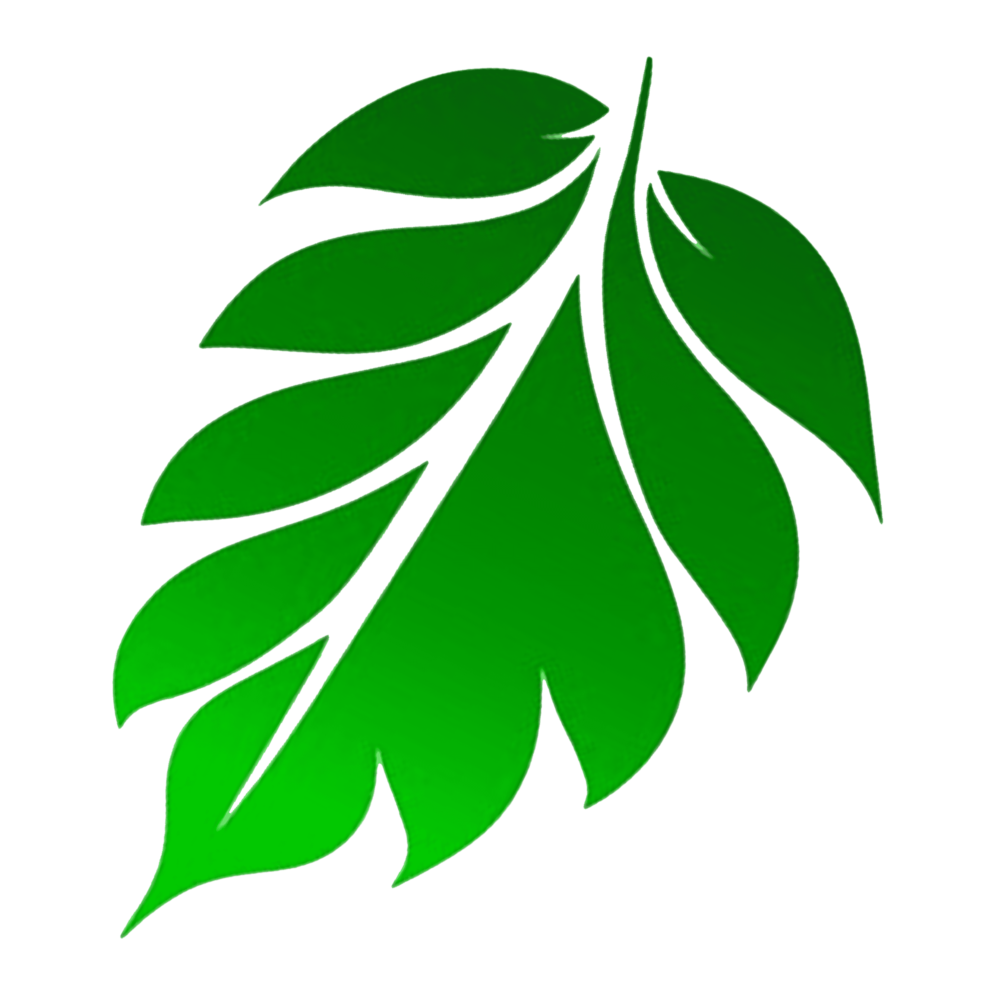 Sustainability image